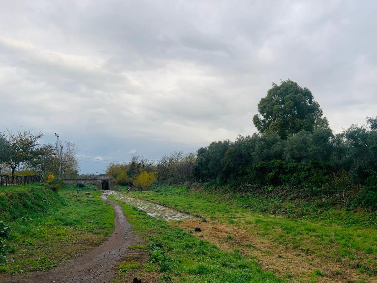 Holiday Home 40 Santa Maria delle Mole エクステリア 写真